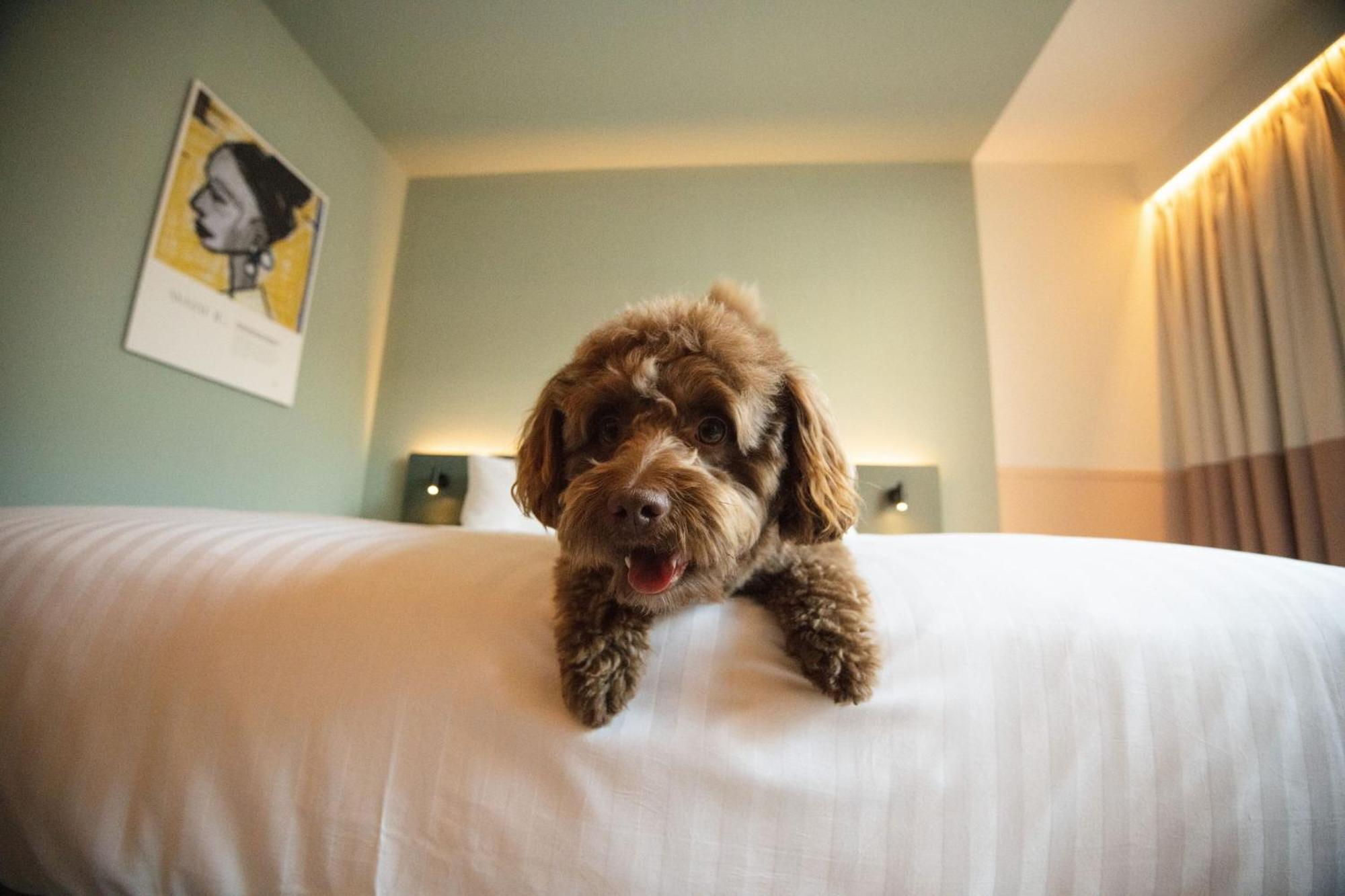 The Rebyl, Nijmegen, A Tribute Portfolio Hotel 외부 사진